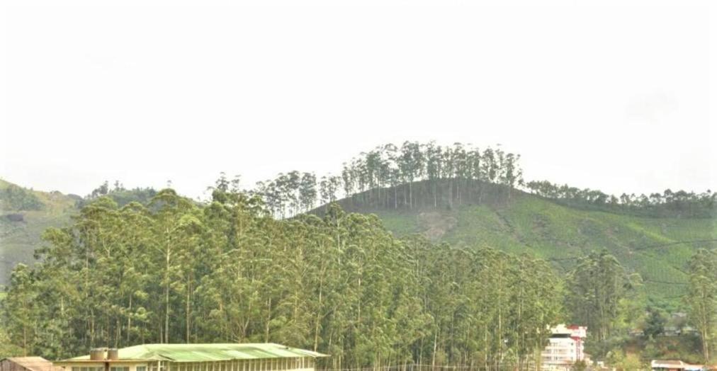 Pranav 4 seasons Hotell Munnar Exteriör bild